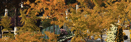 冰球突破-冰球电游奢华版_MG冰球游戏